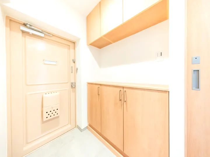 ガーデン山団地1号棟205号室玄関