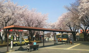 11桜ヶ丘駅2